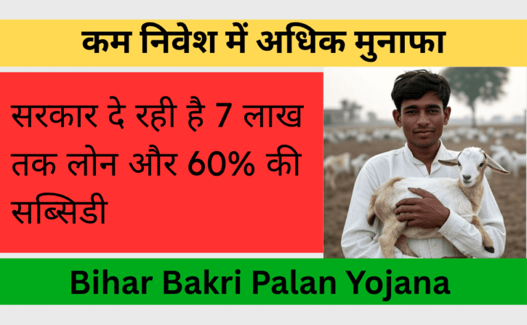 Bihar Bakri Palan Yojana 2025