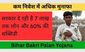 Bihar Bakri Palan Yojana