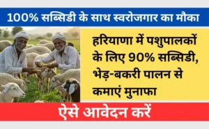 Mukhyamantri Bhed Bakri Palak Utthan Yojana